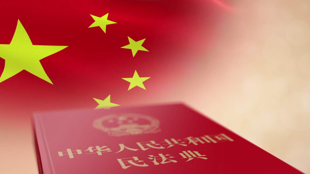 《中华人民共和国民法典》