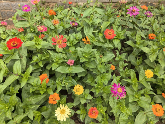 天下滁房鲜花竞放 街区情形再提升