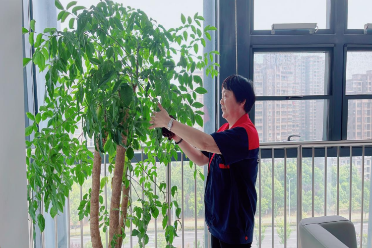 糖果派对官网-追求康健,你我一起生长