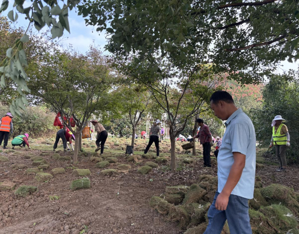 糖果派对官网-追求康健,你我一起生长