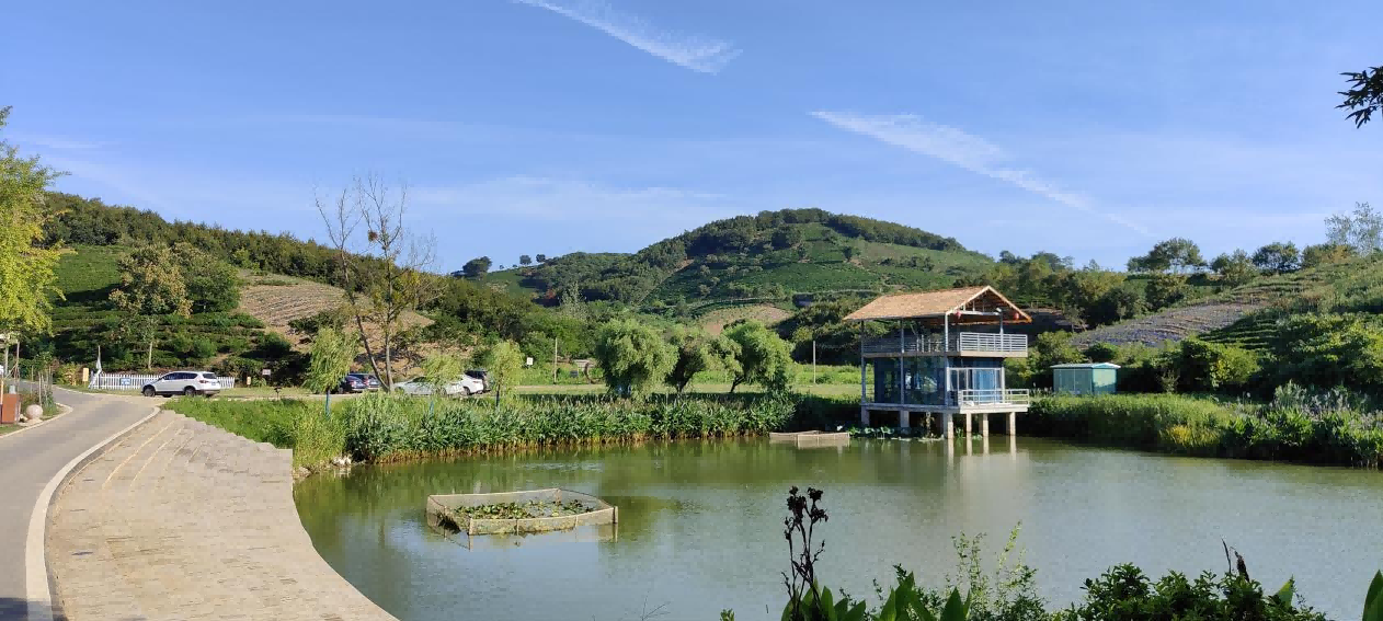 糖果派对官网-追求康健,你我一起生长