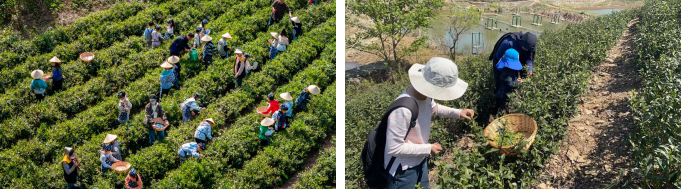 糖果派对官网-追求康健,你我一起生长