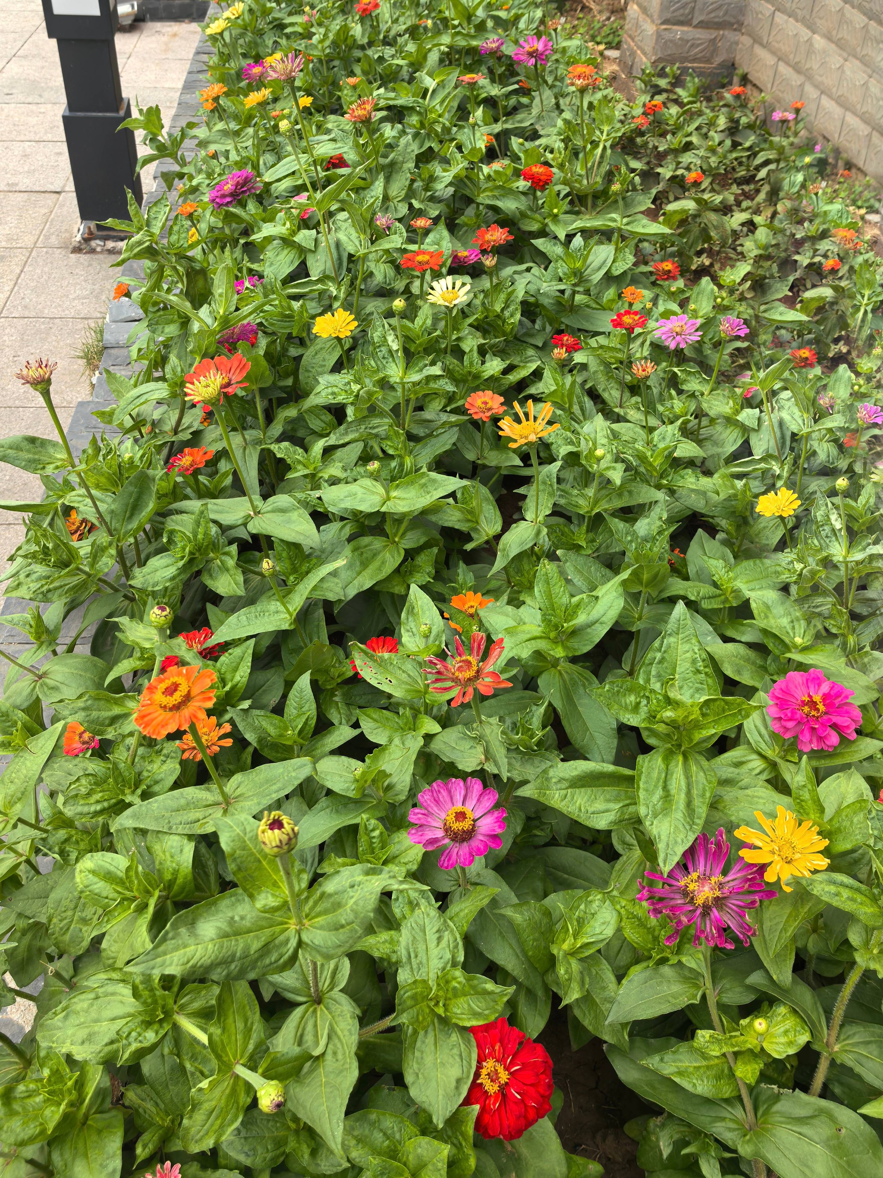 糖果派对官网-追求康健,你我一起生长